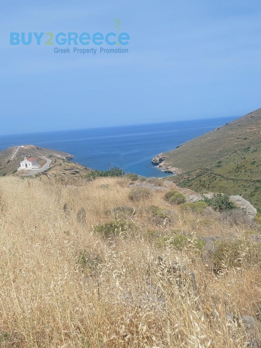 (For Sale) Land Large Land  || Cyclades/Andros-Korthio - 10.562 Sq.m, 200.000€ 