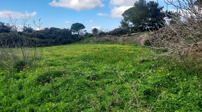 (For Sale) Land Plot wIthin Settlement || Piraias/Kythira - 605 Sq.m, 20.000€ 