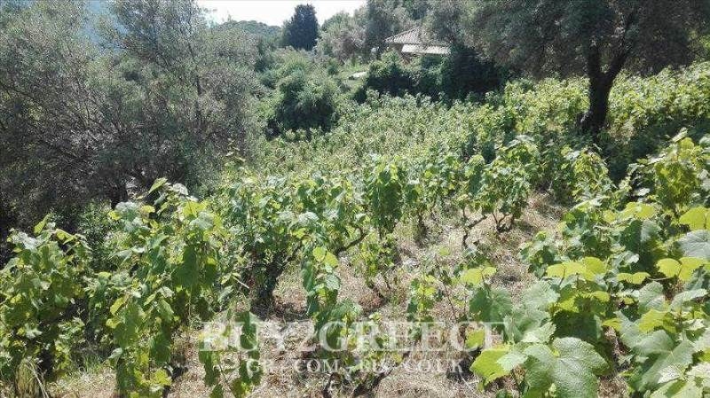 (Προς Πώληση) Αξιοποιήσιμη Γη Οικόπεδο || Ν. Λευκάδας/Λευκάδα Χώρα - 1.500 τ.μ, 75.000€ 